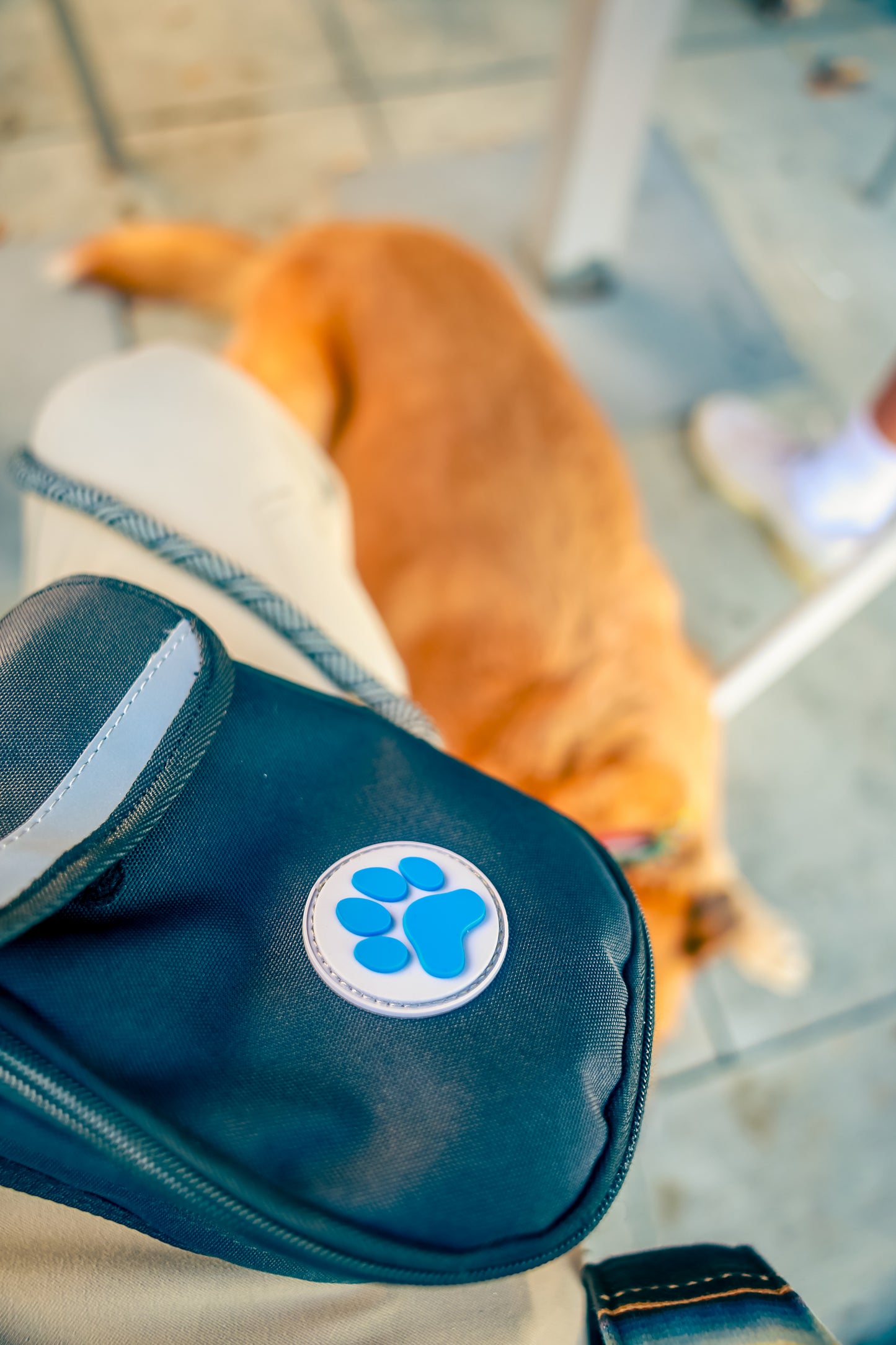 The Ultimate Hands-free Dog Walking Bag (Black)