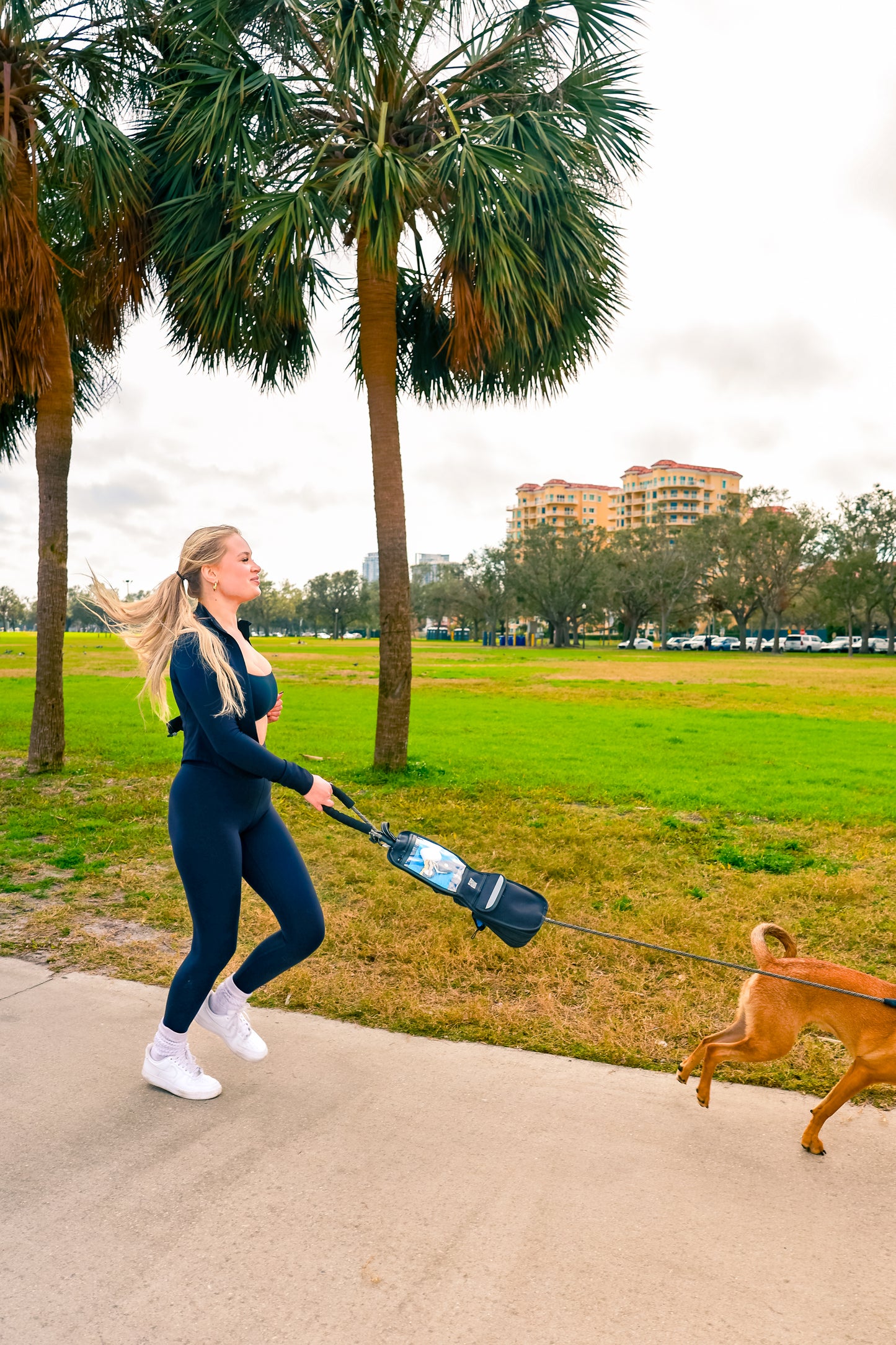 The Ultimate Hands-free Dog Walking Bag (Black)